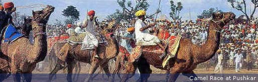 Pushkar Camel Race
